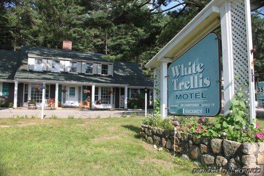 White Trellis Motel North Conway Exteriér fotografie