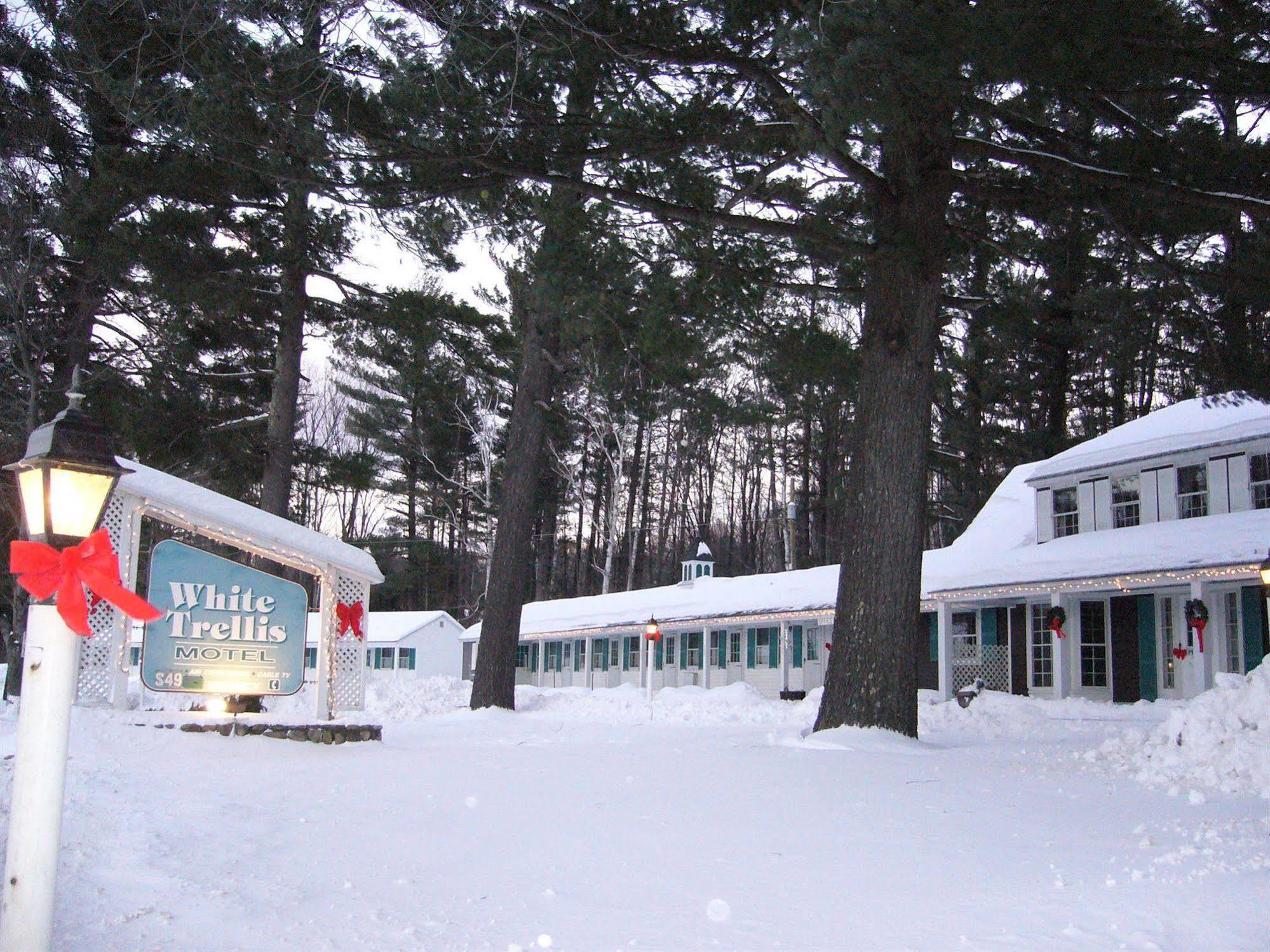 White Trellis Motel North Conway Exteriér fotografie